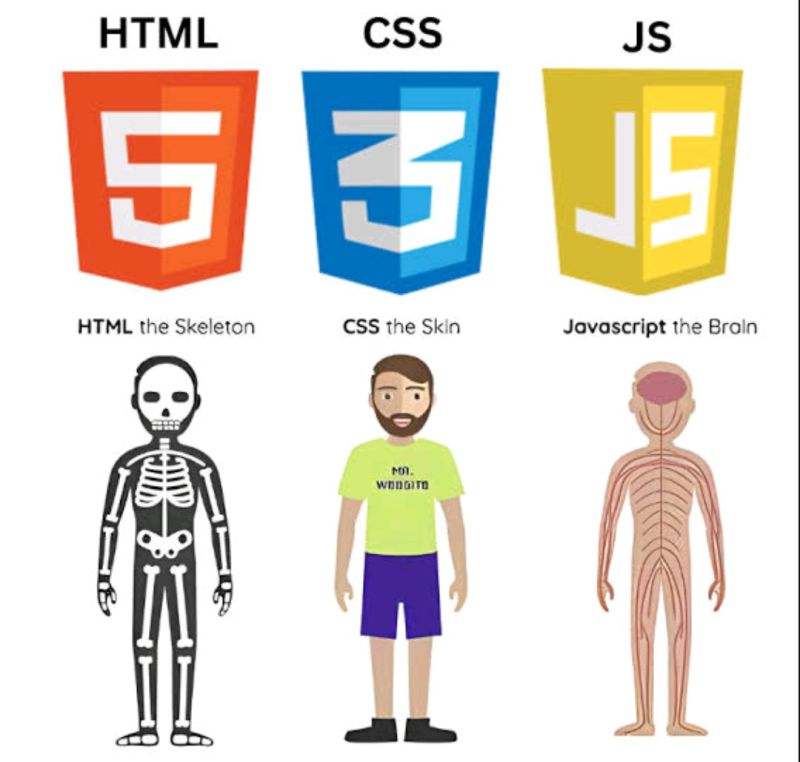 DMain_TechBrain's tweet photo. #HTML - is the Skeleton (Structure)

#CSS - is it Covering (Presentation)

#JavaScript - is the Live within (Interaction)

GM #Dev https://t.co/OoT1FuF6Ag