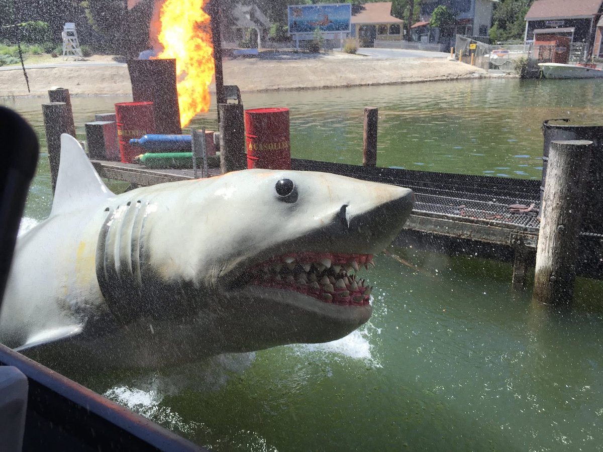 Steve71934375's tweet photo. HAPPY 51ST ANNIVERSARY TO THE MOVIE JAWS 1975! https://t.co/g1MsePFKua