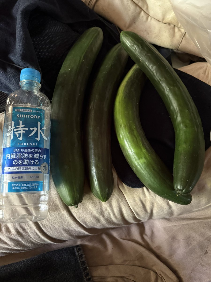 edogawainosuke's tweet photo. きゅうり頂きました

デカイ！

#きゅうり https://t.co/DP2HlCvU7T