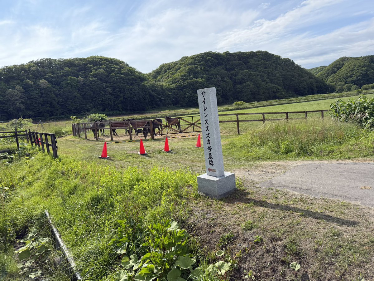 旅蟹 tweet media