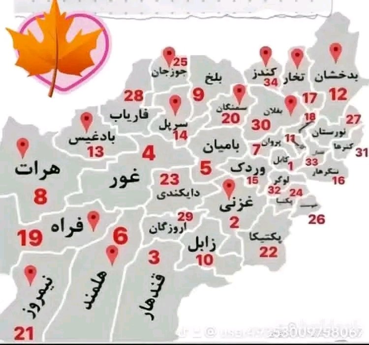 🌍🏳️روحانی 𝓡𝓸𝓱𝓪𝓷𝓲🏳️🌏 tweet media