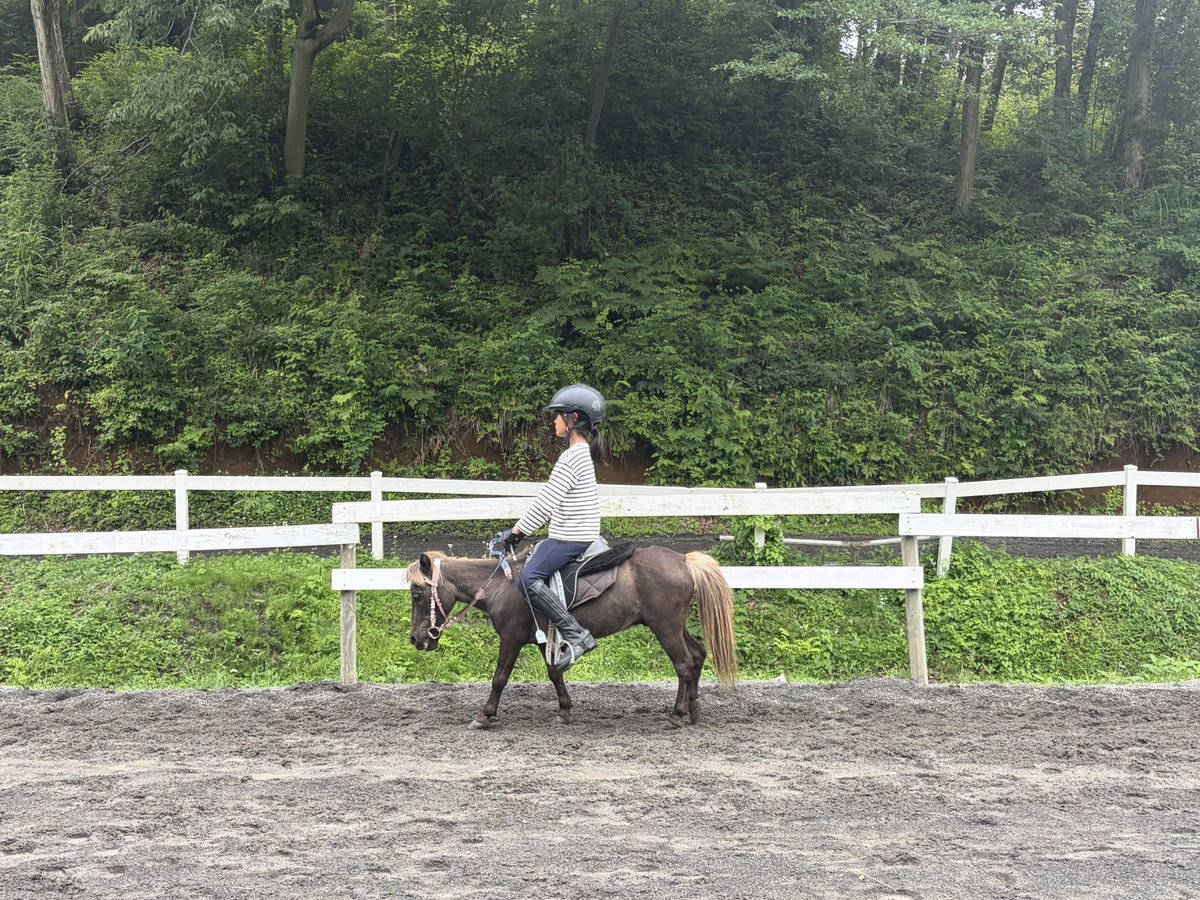 RCMalvern's tweet photo. 今日は曇りで少し涼しいね☁️

ボクもゆうがたのうんどう🐴 https://t.co/J3BLVdecIE