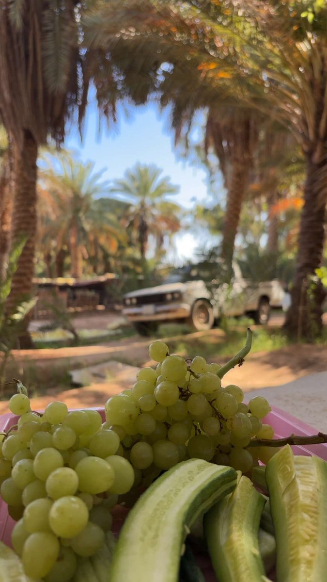 khukha12's tweet photo. من طابَ لفظُه، علا قدرُه.

المؤمنُ هيِّنٌ ليِّنٌ، ينتقي أطيبَ الكلام وألطفَ العبارات:
فلا يجرحُ، ولا يلمزُ، ولا يهمزُ،
وهو بفعلِه هذا موعودٌ بالأجرِ الوفير، والفضلِ الكثير.

قال ﷺ: «إنَّ المؤمنَ لِيُدركُ بحسنِ خُلُقِه درجةَ الصائمِ القائمِ».

🩷🕊️🌱 https://t.co/m3V4Kku1u8