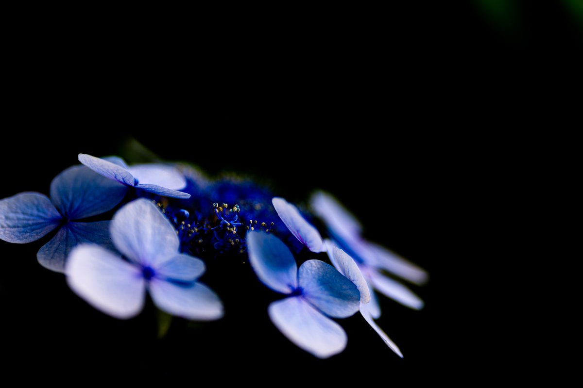 KKimiron's tweet photo. 千葉公園
珍しい組み合わせで📸
SONY ILCE-7RM5 α7RⅤ  
SIGMA 135mm F1.8 DG HSM Art 017
https://t.co/XUX1fkOtfm
https://t.co/g8vvJCBL1A
https://t.co/gWrVNPx4Za https://t.co/pQBW73rh9J