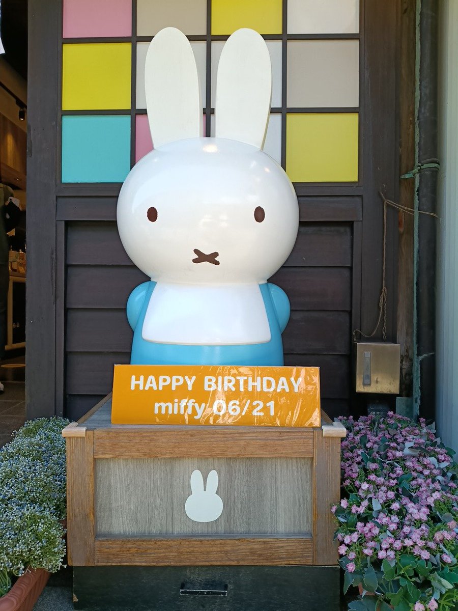 yykppn's tweet photo. チートデーしてたらミフィたやのおたおめだった https://t.co/4wBVXOFQsw