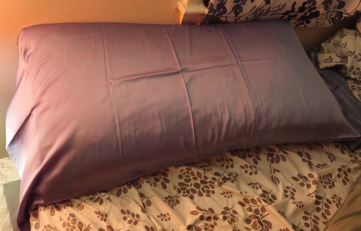 slanoue2016's tweet photo. I bought a #silk #pillowcase for my big pillow... let's see if I like it! David was not fond of the ones I got for his #pillows, so they will be saved for guests. 😊 Good night!🥱😴 https://t.co/JGvaliX96P