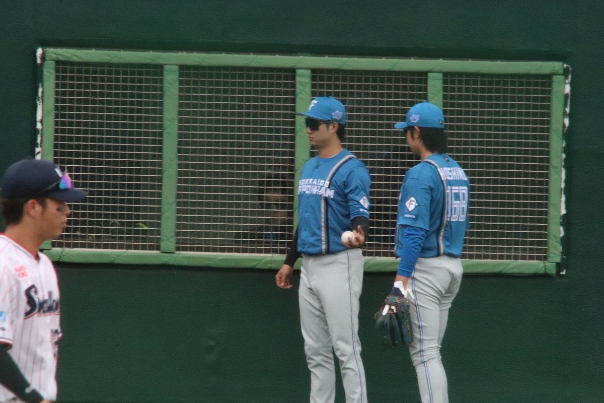 yahayaha023's tweet photo. 本日お誕生日のボールの渡し方が特殊だった先輩

 #淺間大基 選手/ #星野ひので 選手
 #lovefighters

2026.06.21
@戸田球場 https://t.co/sgMECs8VHl