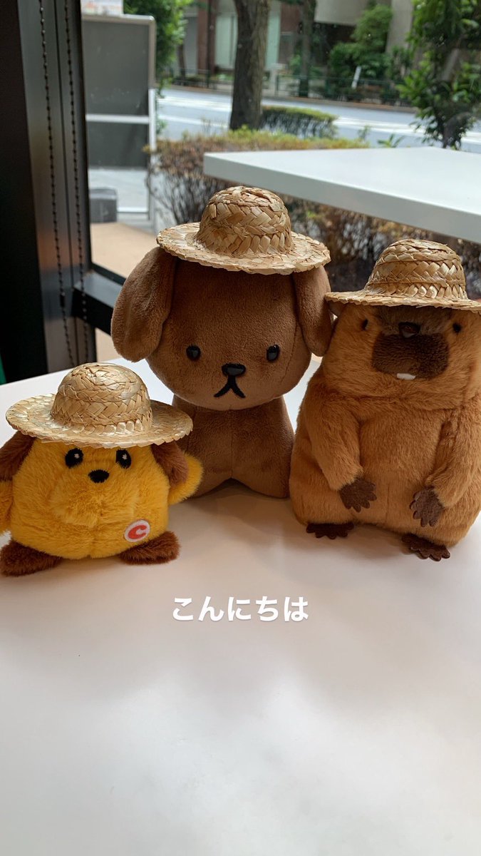 gizumo0gizumo's tweet photo. 映画好き友人と集まったので 映画ツッコミクイズ(#みんやめ )を考えよう。と話していたのですが、結局SIRĀTについての感想をやいやい言って、アンテナショップ回って終わりました。カヤトーストも食べました。 https://t.co/LzohLv106m