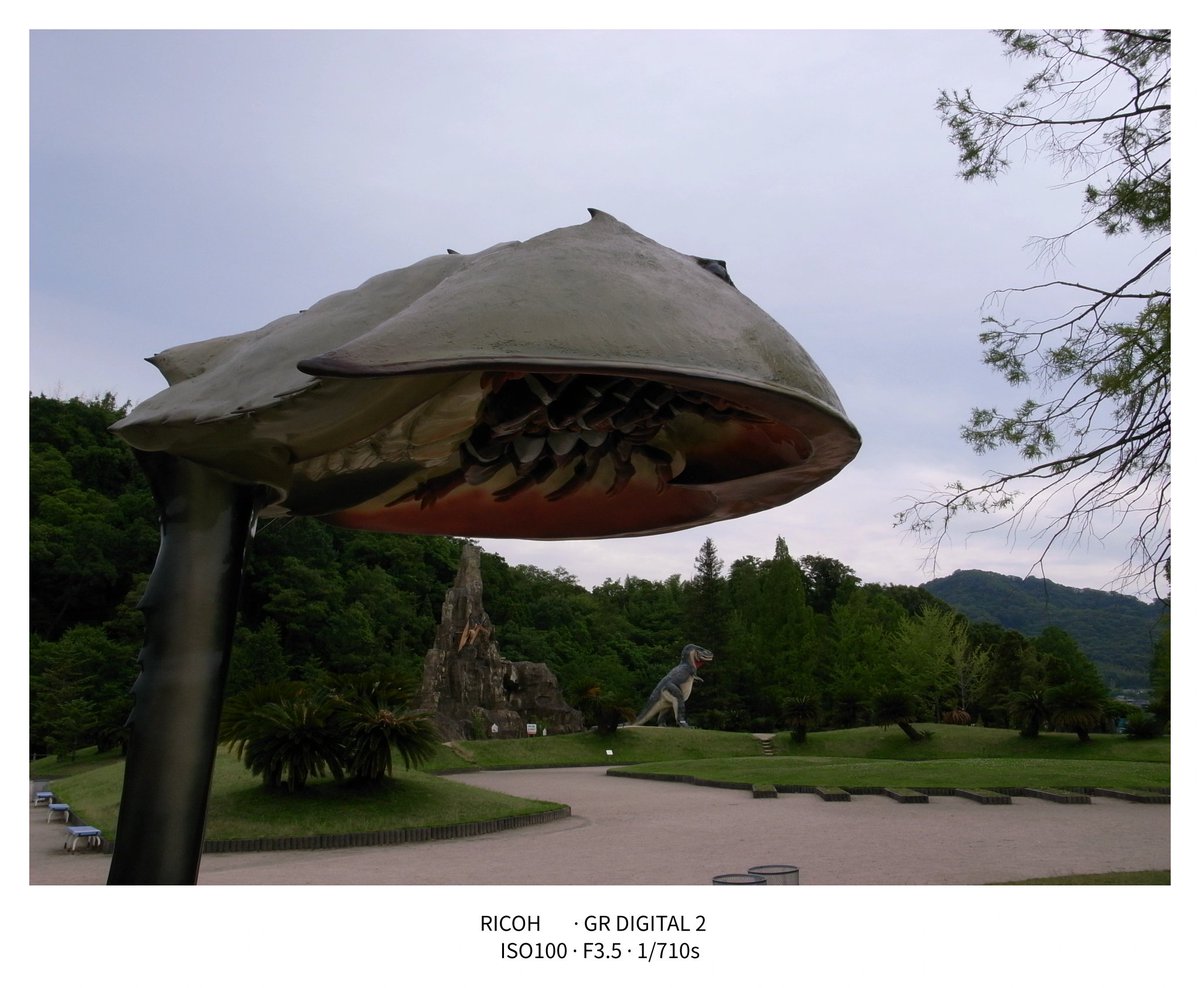 kuni_o_o_camera's tweet photo. カブトガニ越しのティラノサウルス
よく見たらプテラノドンも岩場に

📍恐竜公園

📷 RICOH GR DIGITAL Ⅱ
#GRDIGITAL  #RicohGRDigitalI
#dinosaur 
#カメラのある日々  #オールドコンデジ https://t.co/FqOH7NQU15