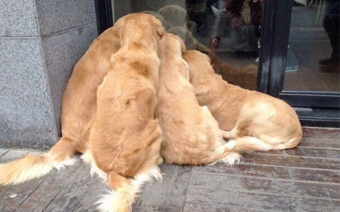 0Ari_'s tweet photo. 人生にこの写真以上の癒しない https://t.co/MG4NsMIEzn