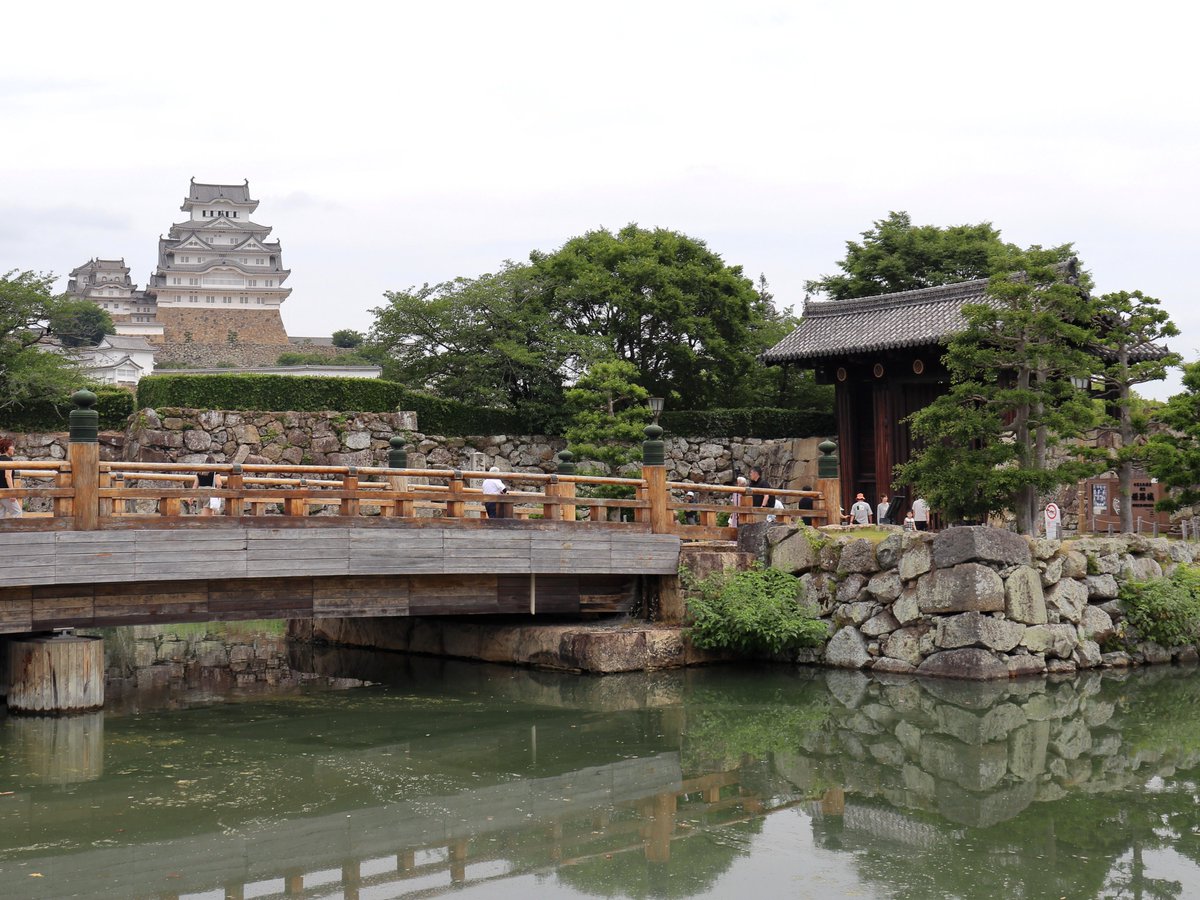 747Krs's tweet photo. 2026/06/19
午前は寄り道がてら少しだけ世界遺産の姫路城へ
白鷺城と言われるだけ本当に美しく立派な天守閣ですね
個人的に日本一素晴らしい名城だと思います
駅前からの景色は現代の城下町って感じで良き眺めですね
今度来る際は城内の見学もしてみたいです。 https://t.co/NZH3IBwywJ