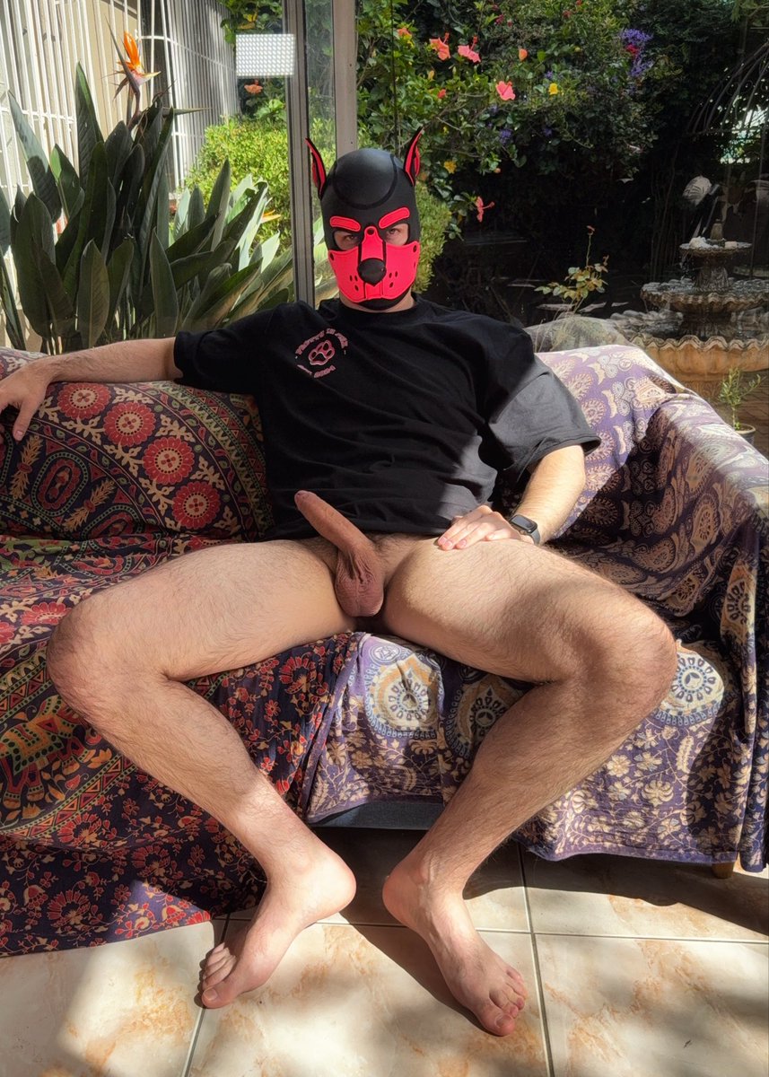 Pup_Pictus's tweet photo. Be a good boy and take a seat~ 

#gay #pup #gaypup #pupplay https://t.co/rgMR1JrGE7
