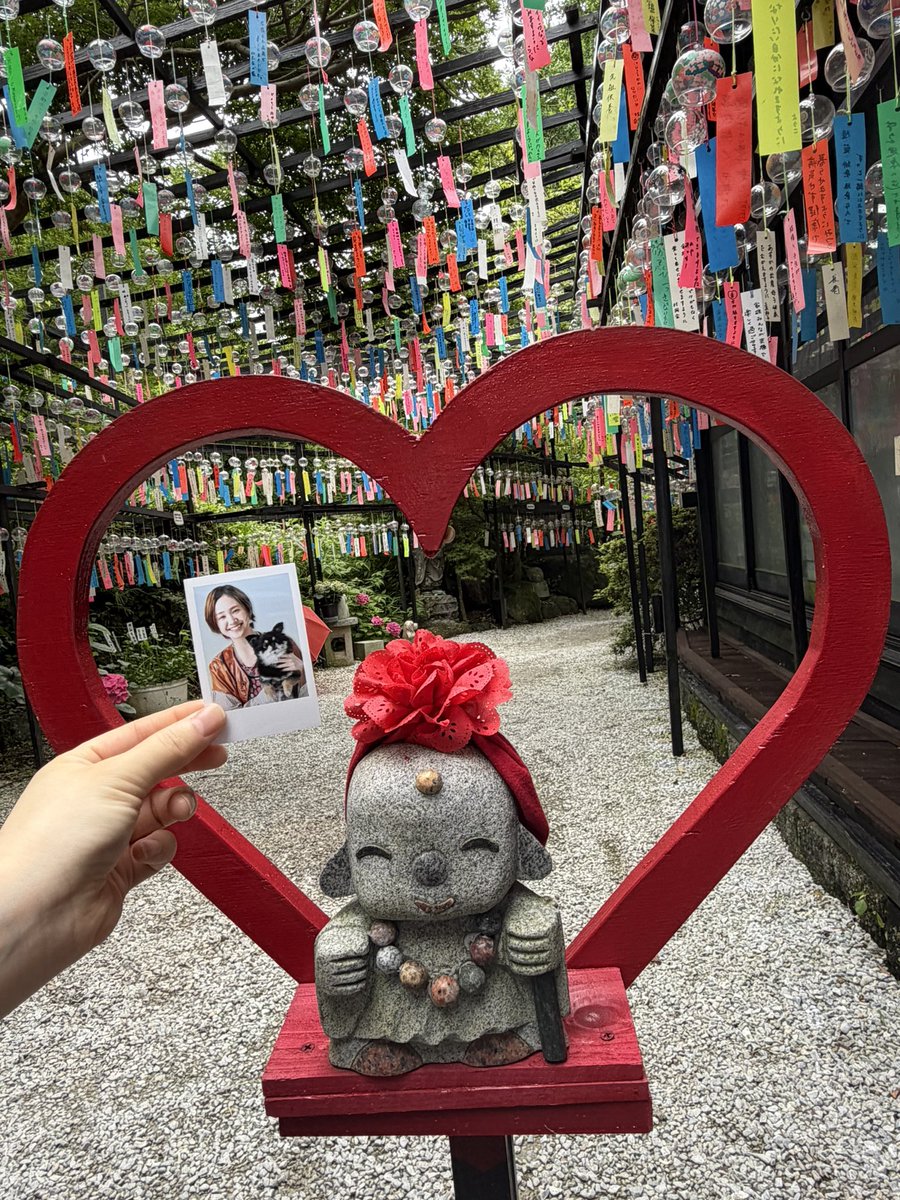 cmbnn301's tweet photo. 尾碕氏の幸せを願ってきた🎐
 #尾碕真花  #いち活 https://t.co/Nv3T9fjNka