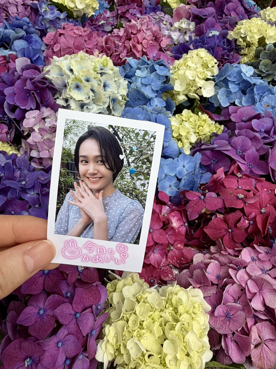 cmbnn301's tweet photo. 尾碕氏の幸せを願ってきた🎐
 #尾碕真花  #いち活 https://t.co/Nv3T9fjNka