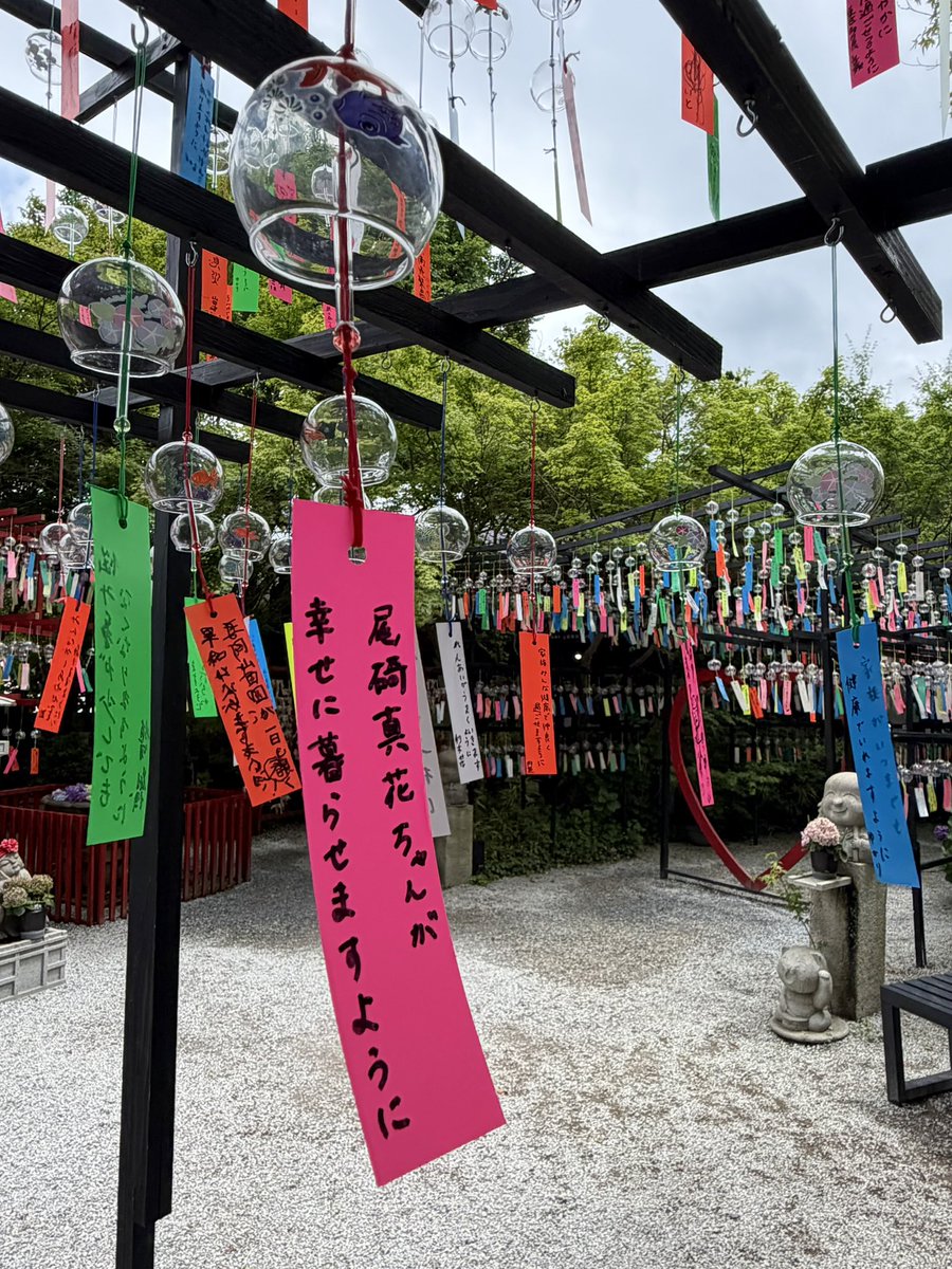 cmbnn301's tweet photo. 尾碕氏の幸せを願ってきた🎐
 #尾碕真花  #いち活 https://t.co/Nv3T9fjNka