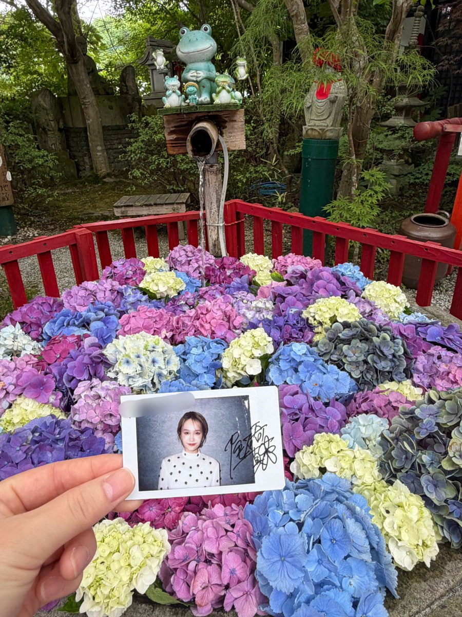 cmbnn301's tweet photo. 尾碕氏の幸せを願ってきた🎐
 #尾碕真花  #いち活 https://t.co/Nv3T9fjNka