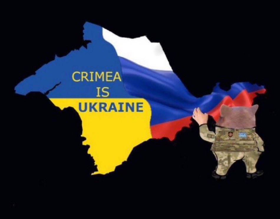 BorgFella420's tweet photo. @ZelenskyyUa Slava Ukraini! 💙💛 https://t.co/SQTvFFtEBq
