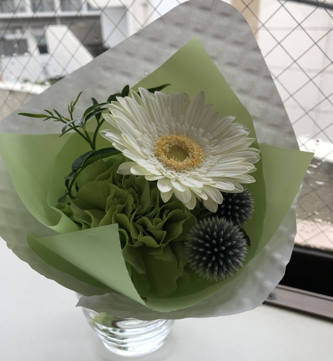 daisy0023's tweet photo. 昨日ご利用くださった方から素敵なお花をいただきました。最近私が好きな緑💚感謝💚

写真は出来るだけ午前中の光で…
ということを大切にしている
すごく綺麗なお写真を撮影される写真家さんにお会いしてから私も午前中の光にこだわっています。

午前中にお天気がちょっと冴えないので
午後に撮。 https://t.co/FsaVFObGUx