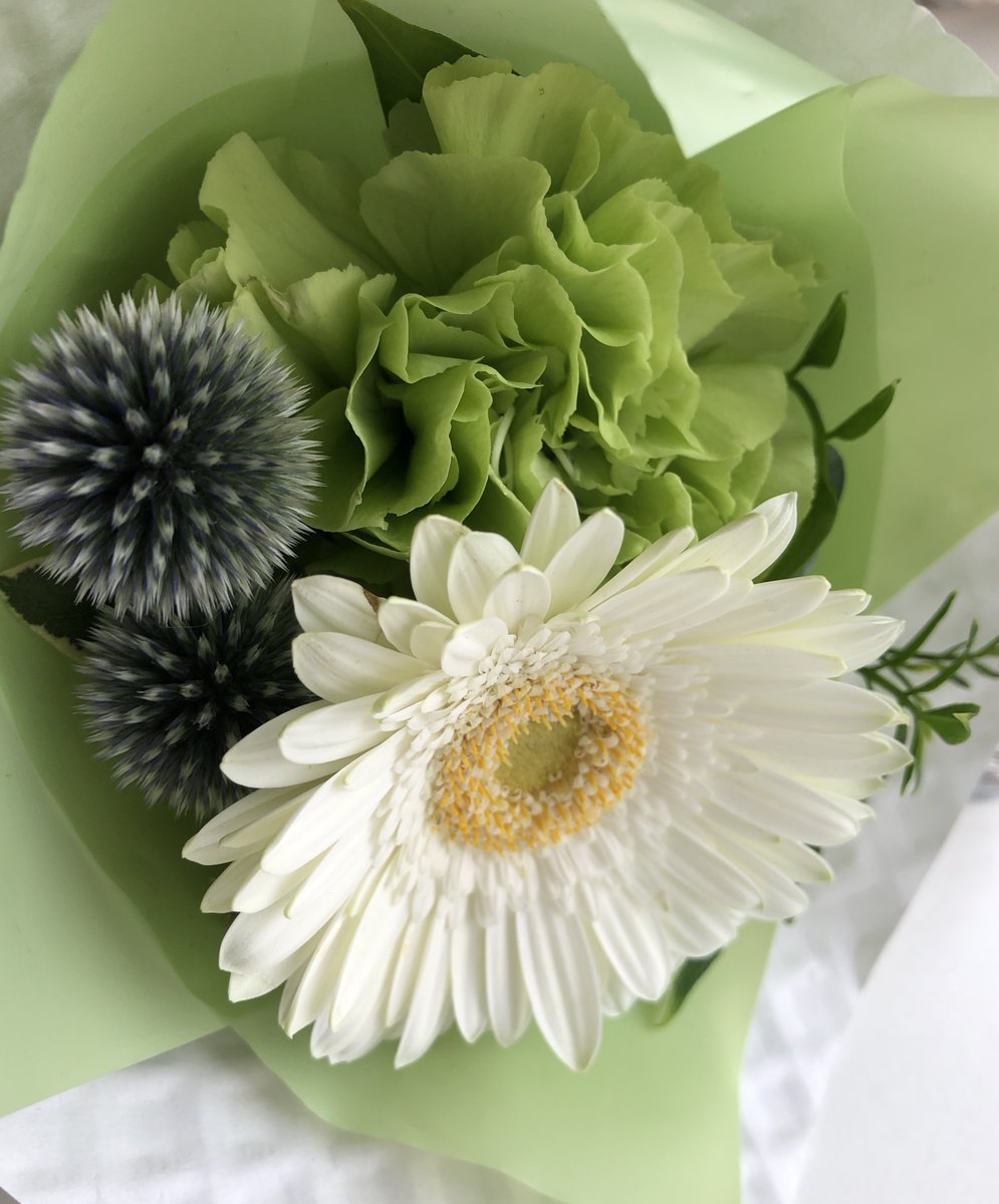 daisy0023's tweet photo. 昨日ご利用くださった方から素敵なお花をいただきました。最近私が好きな緑💚感謝💚

写真は出来るだけ午前中の光で…
ということを大切にしている
すごく綺麗なお写真を撮影される写真家さんにお会いしてから私も午前中の光にこだわっています。

午前中にお天気がちょっと冴えないので
午後に撮。 https://t.co/FsaVFObGUx