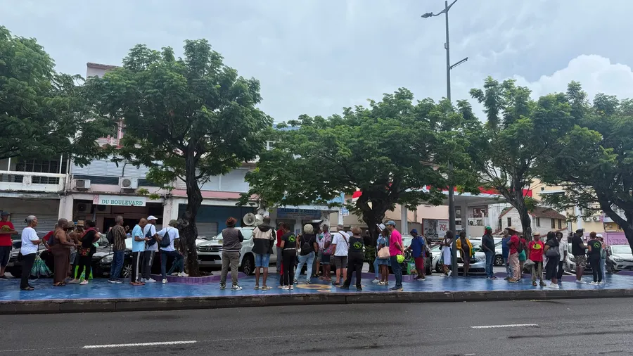 la1ere's tweet photo. Chlordécone : des associations mobilisées à Fort-de-France avant une décision judiciaire décisive

➡️Cette mobilisation s’est tenue simultanément en Martinique, en Guadeloupe et dans l’Hexagone.

📲💻https://t.co/ieAGdWYPJj https://t.co/CIeeMxtB5C