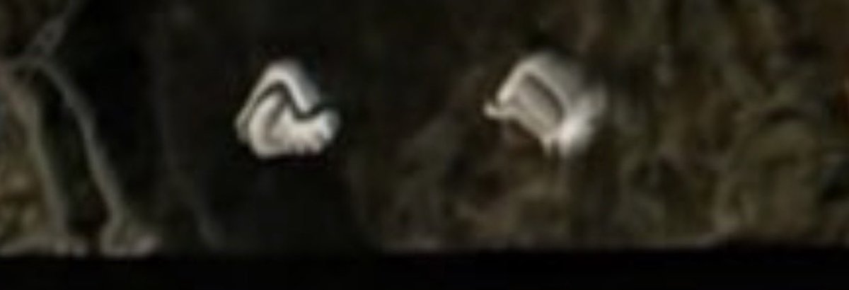 jfitz_real's tweet photo. @Esenbek_Aliev @TexasTSLA 😎 so what are there fuzzy blurry ai icons on the top 🥲 https://t.co/C3hFSyLAHR