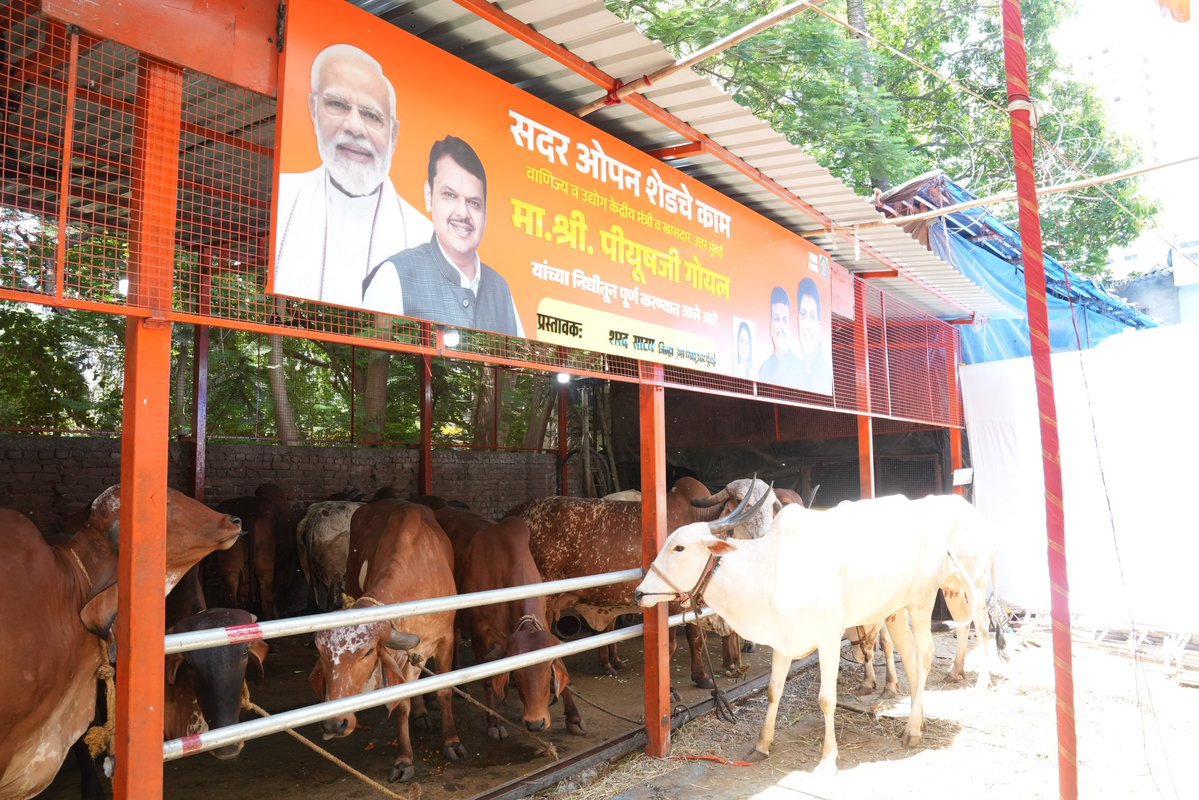 PiyushGoyal's tweet photo. आज कांदिवली स्थित गौशाला में गौमाता को चारा खिलाने का सौभाग्य प्राप्त हुआ। गौ सेवा केवल परंपरा नहीं, हमारी संस्कृति की जीवनधारा है।🙏 https://t.co/cjPRQJQvhV