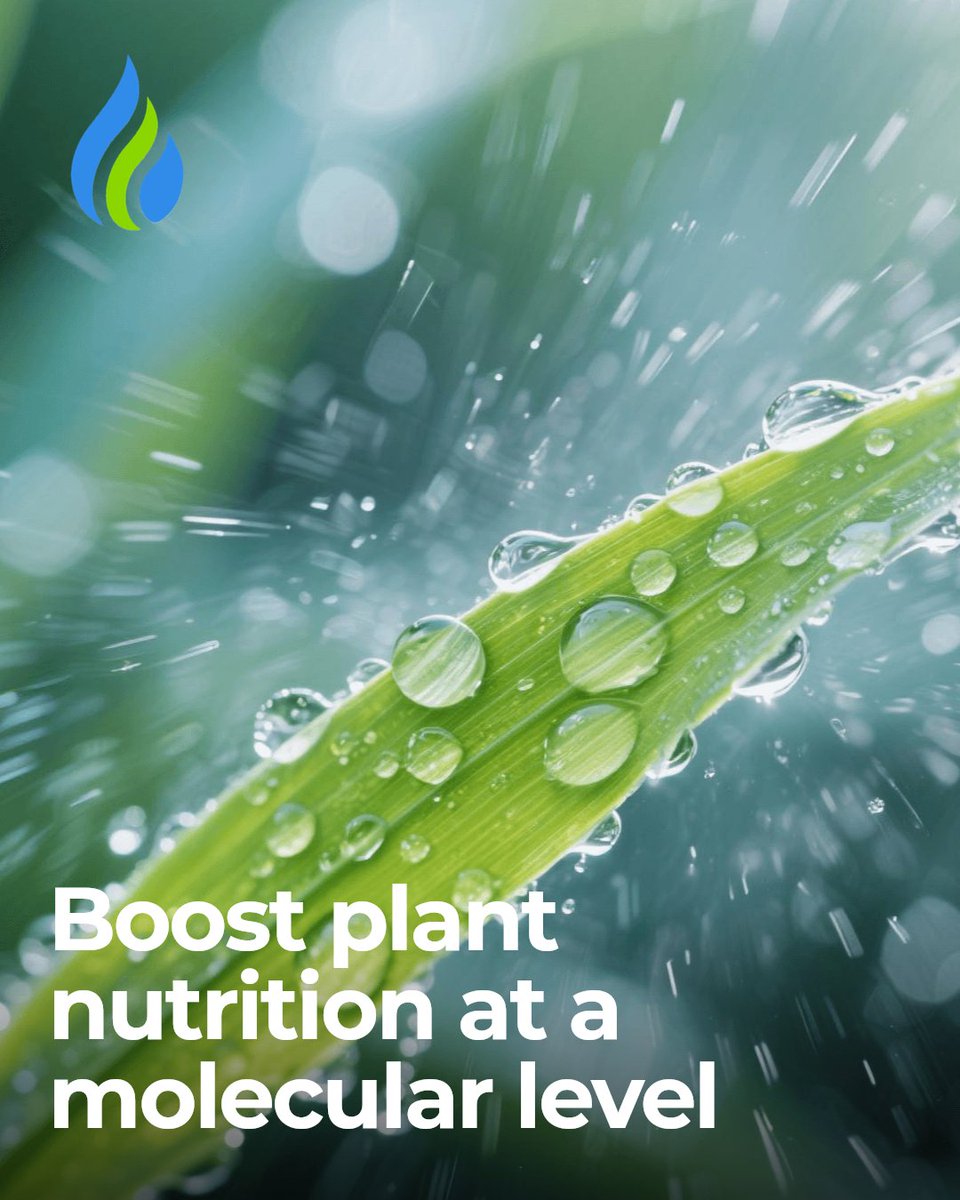 nanoferts's tweet photo. Can plants use more nutrients with nano-feeding? Nano-enabled feeding delivers nutrients at a molecular level, so plants absorb more and waste less. Learn how nanotechnology is changing agriculture. #greenkeeper #coursemanager #greenkeepersuperintendent #superintendent https://t.co/EWNBSnk5gG