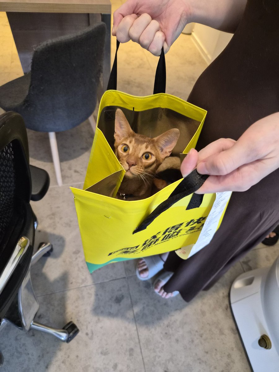 birbee01's tweet photo. they got my order wrong again... https://t.co/BjvPY0pYMW