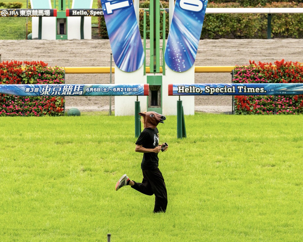 yu_keibaphoto's tweet photo. 東京13R「芝コース開放S」
優勝：ウマノカブリモノ

途中の追い上げ熱かった！
差してからは危なげなくゴールイン

レース後はノーサイド👍 https://t.co/EbP91t8STu
