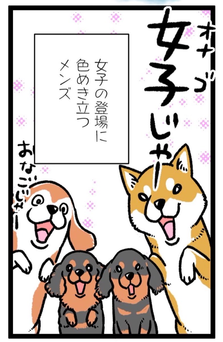 【旧作「もふもふ犬まみれ」切り抜き✂️セレクション】

『グミ王子』より③ 