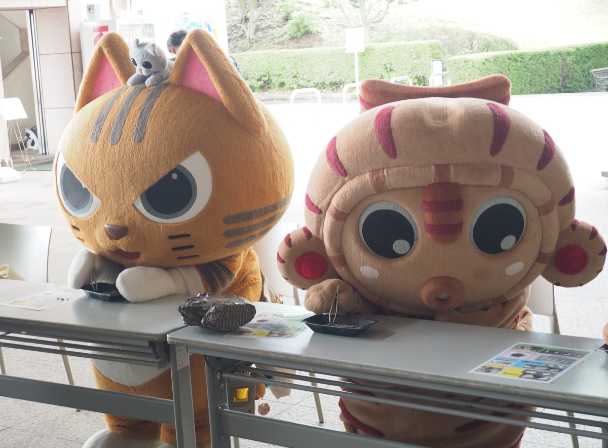 mossan_4911's tweet photo. 川じゃりから化石発掘と塗り絵をしてるみーたんとふぅにゃ

#栃木県立博物館
#みーたん
#ふぅにゃむむにゃ https://t.co/Ql0muIZBq9