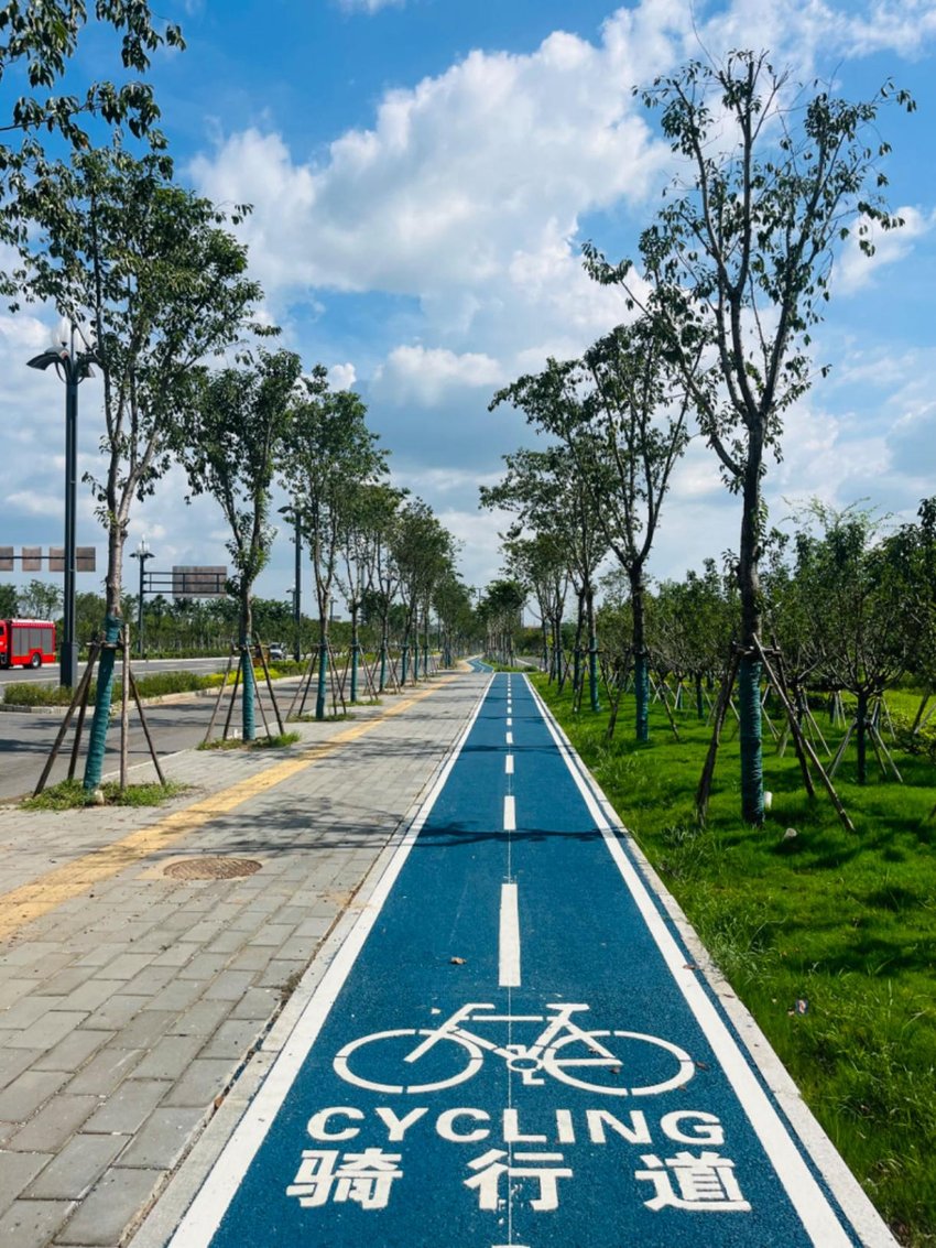slender11515269's tweet photo. Just tested the new city bike lane—smoother rides, zero car chaos, game-changer for my daily commute! ， https://t.co/9Ih7vFAAnI