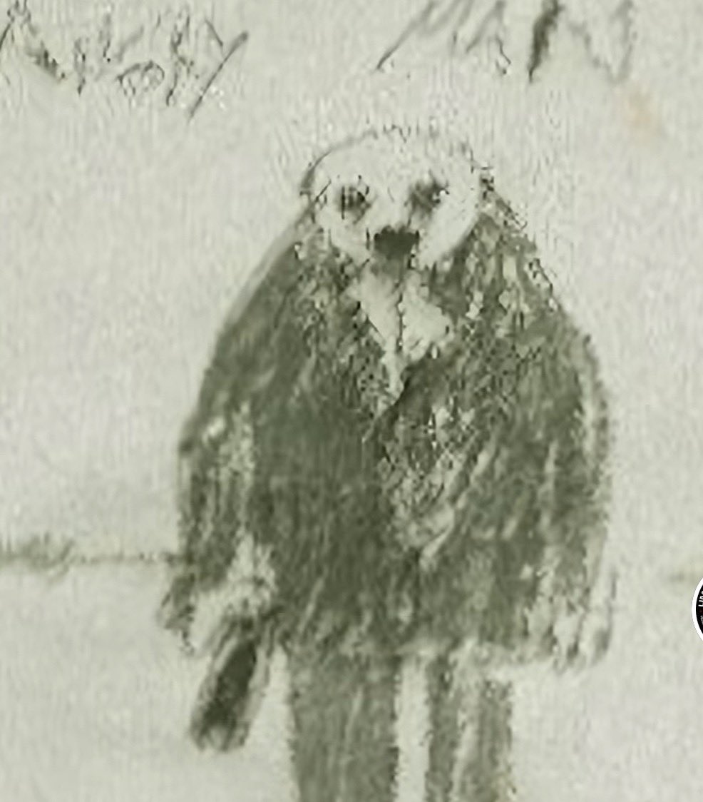 lajichui233's tweet photo. @TheRedBarrels Hello, I would like to know the reason why this character was not added to the game, or will he be included in the subsequent update https://t.co/4JvM3fhRld