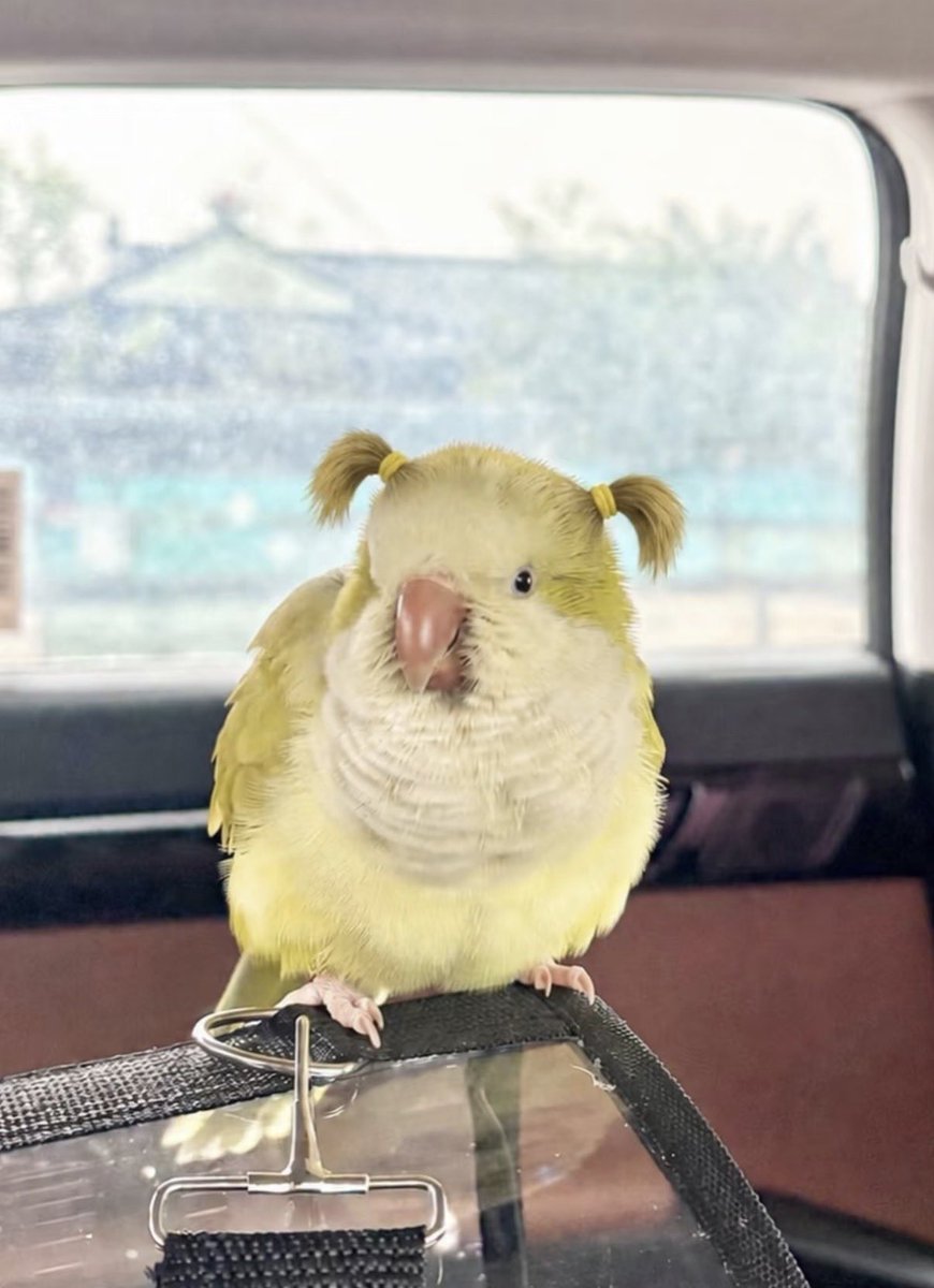 twaniimals's tweet photo. https://t.co/aaZ5mEOpBH