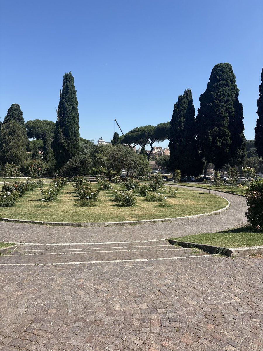 weinanas's tweet photo. Rome https://t.co/gPZciwDgbf