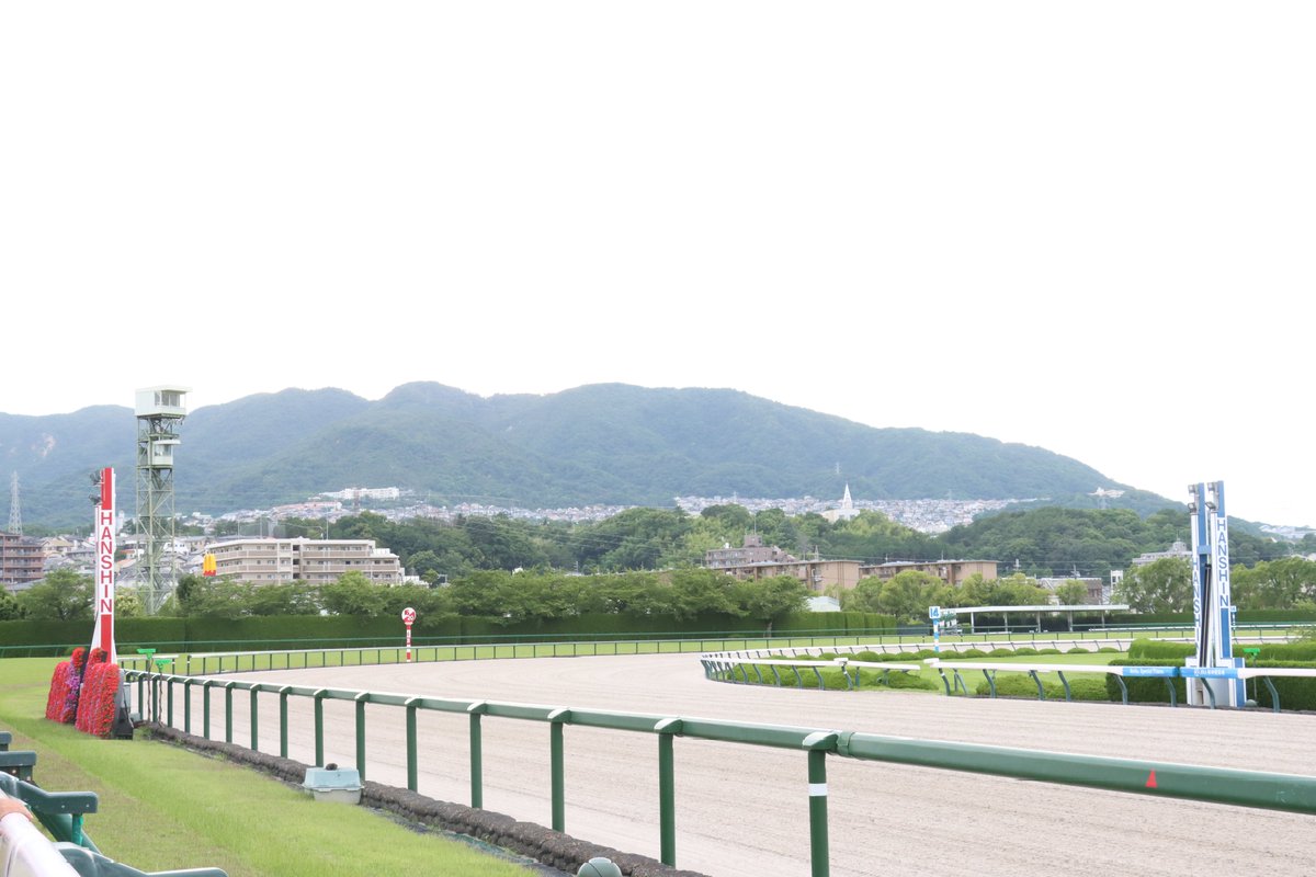 nobuo1992's tweet photo. 阪神競馬場離脱 https://t.co/ba0fQUf9wN