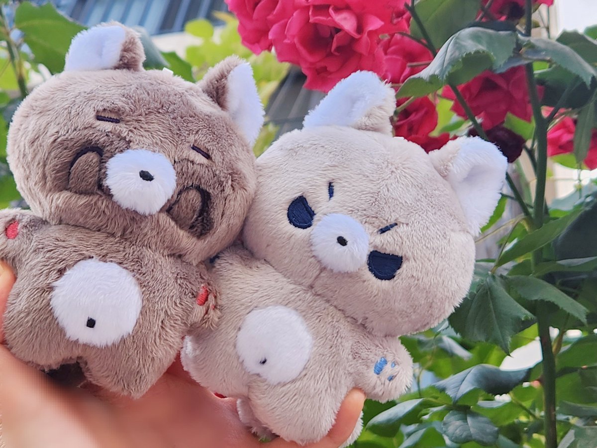 mole_doll's tweet photo. ᴖ ᵕ ᴖ 🌸 ◺_◿
#빵굴 #늑쭌 #솜솜몰 https://t.co/FFNeFKqagV