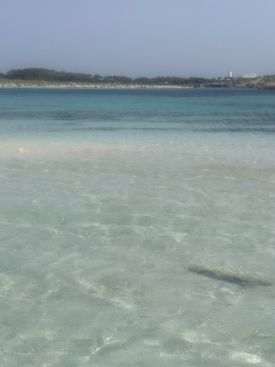 elipellini's tweet photo. Formentera 🩷💕💙 #LovEli https://t.co/qkCBvUGJih
