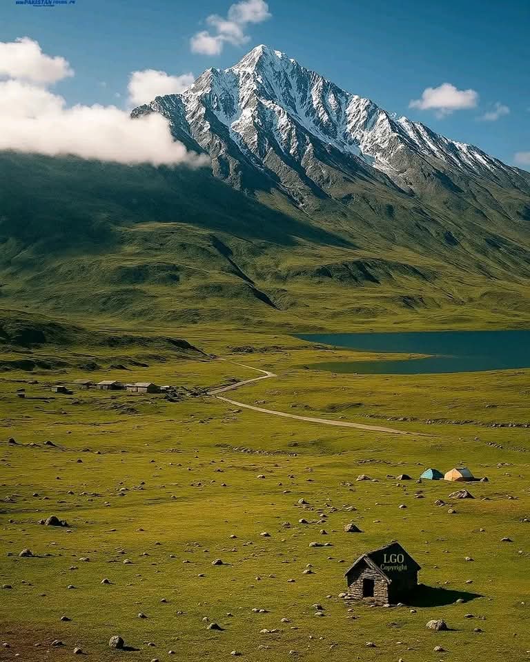 PakistanJannatt's tweet photo. ✨🏔️ شندور پاس: ایک خوابوں جیسا سفر، جہاں فطرت اور ثقافت رقص کرتے ہیں! 🇵🇰
اگر آپ پاکستان میں کسی ایسی جگہ کی تلاش میں ہیں جو قدرتی حسن، بھرپور ثقافت اور روح کو سکون بخشنے والی خاموشی کا حسین امتزاج ہو، تو شندور پاس آپ کی سفری فہرست میں سرفہرست ہونا چاہیے۔ دلکش وادی، جو چترال اور گلگت بلتستان کے سنگم پر واقع ہے، تقریباً 12,500 فٹ کی بلندی پر واقع ہونے کی وجہ سے بجا طور پر "دنیا کی چھت" کہلاتی ہے۔ یہاں قدم قدم پر آپ کا استقبال کرتے ہیں مخملی سبز چراگاہیں، وسیع و عریض نیلا آسمان اور برف پوش فلک بوس پہاڑ — ایک ایسا منظر جو کسی خیالی دنیا سے کم نہیں لگتا۔
شندور پاس کا سب سے بڑا جادو اس کی بے مثال سادگی اور پرسکون فضا ہے۔ یہاں شہروں کا شور و غل نہیں، نہ ہی سیاحوں کی بھیڑ بھاڑ؛ یہاں صرف قدرت کی وہ سریلی آوازیں ہیں جو سیدھی دل میں اتر جاتی ہیں۔ اس علاقے کو ایک خاص پہچان ہر سال جولائی کے پہلے ہفتے (عموماً 7 سے 9 جولائی) میں منعقد ہونے والے شندور پولو فیسٹیول نے عطا کی ہے۔ صدیوں کی پرانی روایت کو زندہ رکھتے ہوئے، چترال اور گلگت بلتستان کی بہادر ٹیمیں یہاں "فری اسٹائل" پولو کا مقابلہ کرتی ہیں — ایک ایسا کھیل جو کسی خاص قانون کا پابند نہیں، بلکہ خالص جوش اور مہارت کا مظاہرہ ہوتا ہے۔ اور اس پولو گراؤنڈ کا نام؟ "ماس جنالی" — یعنی "چاندنی رات کا میدان"۔ کیا یہ نام ہی اس جگہ کی رومانیت کی عکاسی نہیں کرتا؟
لیکن یہ میلہ صرف پولو تک ہی محدود نہیں! یہاں آپ کو مقامی موسیقی کی دلنشین دھنیں، روایتی رقص کے رنگ اور اس خطے کی بھرپور ثقافت کے مختلف رنگ دیکھنے کو ملیں گے۔ اگر آپ ایسی جگہ کی تلاش میں ہیں جہاں آپ قدرت کے قریب ترین محسوس کریں، مقامی ثقافت کو گہرائی سے جانیں اور ایک گہرا سکون پائیں، تو شندور پاس ایک مکمل اور بے مثال تجربہ ہے۔
اور یہ بات بھی جان لیجیے کہ یہ علاقہ وسیع و عریض شندور-ہندروپ نیشنل پارک کا ایک اہم حصہ ہے۔ تقریباً 1,986 مربع کلومیٹر پر پھیلا یہ پارک نایاب جنگلی حیات کا مسکن ہے، جن میں شان دار برفانی چیتے، ہمالیائی بھورے ریچھ، دلکش ہمالیائی آئی بیکس اور چالاک انڈین گرے وولف جیسے جانور شامل ہیں۔ پرندوں سے محبت کرنے والوں کے لیے بھی یہ جگہ کسی جنت سے کم نہیں!
شندور کا سفر بلاشبہ کچھ دشوار گزار ہو سکتا ہے، لیکن وہاں پہنچ کر جو روح پرور نظارے، مقامی لوگوں کی بے مثال مہمان نوازی اور قدرتی دلکشی آپ کو ملتی ہے، وہ راستے کی تمام تھکن کو پل بھر میں بھلا دیتی ہے۔ یقین جانیے، شندور صرف ایک سیاحتی مقام نہیں، یہ ایک ایسا تجربہ ہے جو آپ کے دل و دماغ پر ہمیشہ کے لیے نقش ہو جاتا ہے۔
تو کیا آپ تیار ہیں "دنیا کی چھت" کے اس سحر انگیز سفر کے لیے؟ اپنی سفری فہرست میں شندور پاس کو ضرور شامل کریں! ✨