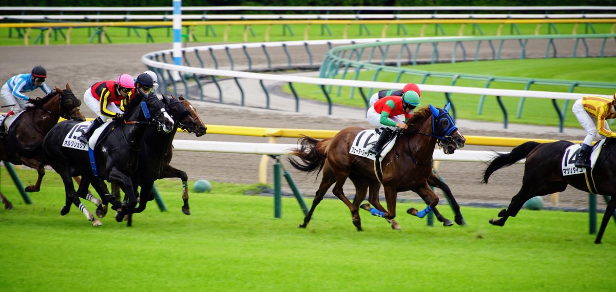 masamuneP55's tweet photo. 今日は東京競馬場へ https://t.co/kbLL8o0BVc