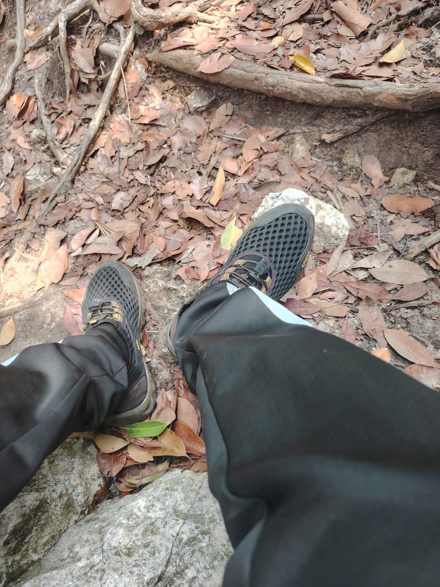 alangsoul's tweet photo. Berpijak di bumi yang nyata https://t.co/KgrgAlvyyx