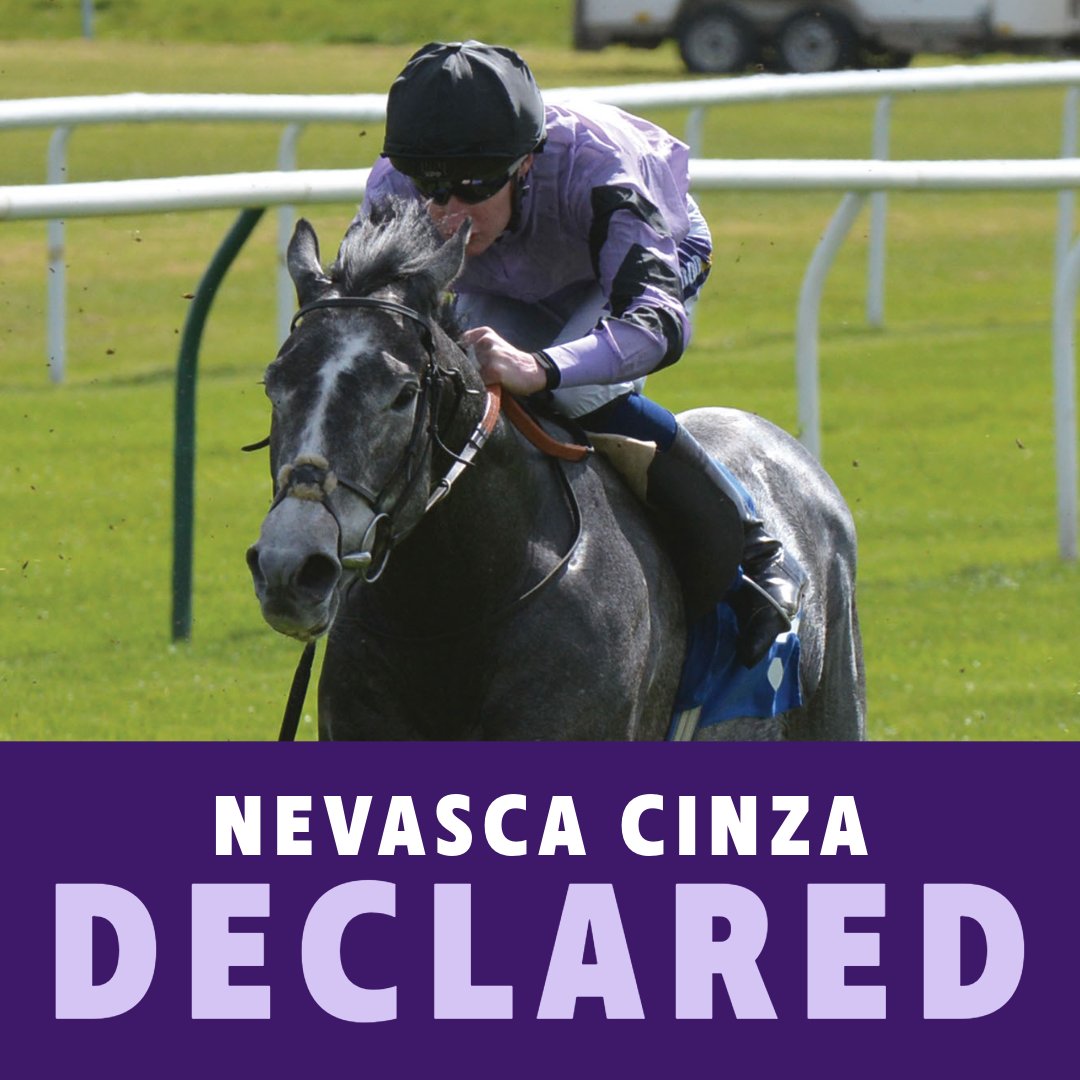 ownersgroupuk's tweet photo. Nevasca Cinza lines up in the 2.26 at Brighton this afternoon under Billy Loughnane for trainer James Fanshawe. We hope for a promising run and wish all of Nevasca Cinza's owners the best of luck later today. https://t.co/jKyEjhLwWM