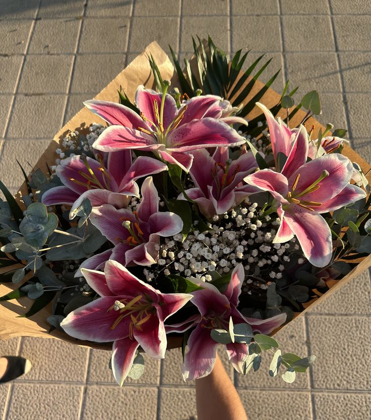 Flowerslovers44's tweet photo. https://t.co/O8WtxVoRSa
