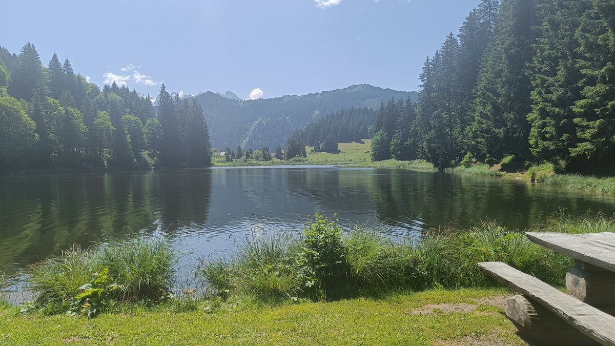 TheFreeGeekette's tweet photo. 20.06.2026 Morgins - Lac de Morgins - Châtel - Lac de Vonnes et retour😘☀️👣
Une jolie balade sur le chemin des contrebandiers de l'époque
Saut de puce sur la frontière Franco-Suisse
Baignade interdite pour protéger les biotopes
#Valais #Morgins #Châtel #randonnée #PetitsBonheurs https://t.co/xREUB38fFu