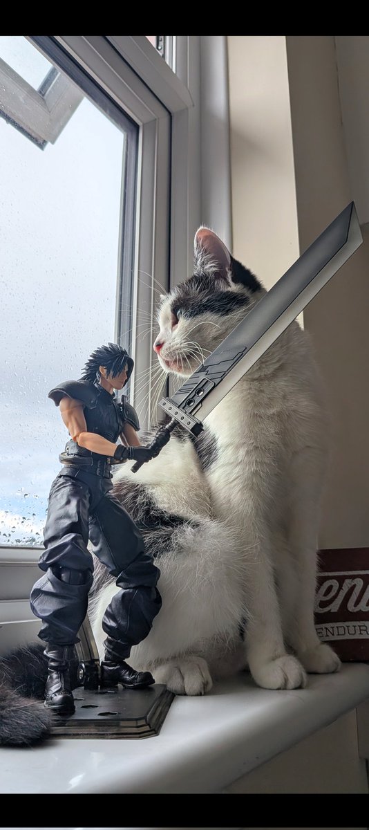 N3v3rNot's tweet photo. @ItsToriGalvin @SquareEnix I have my Zack Fair &amp; my aura farming cat! https://t.co/7Cdan8FP39