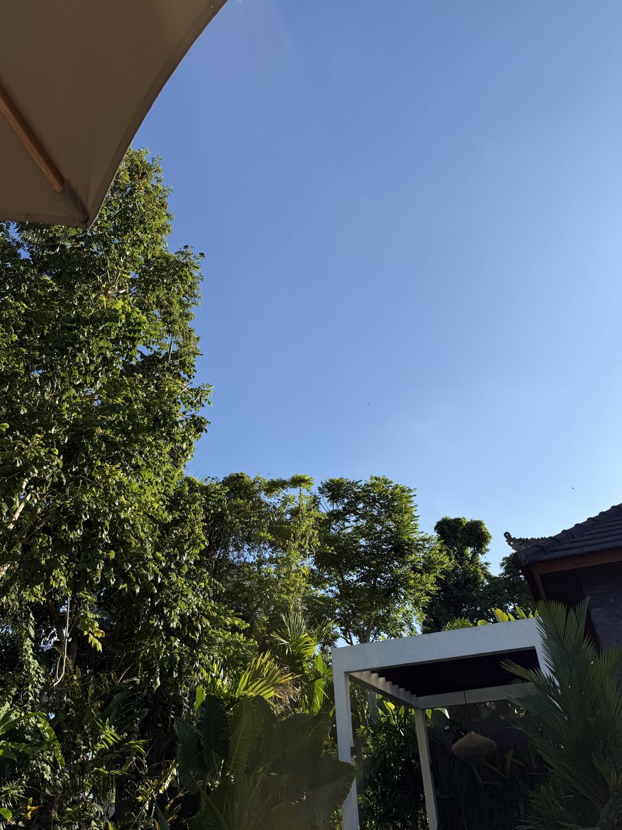 AHenderik's tweet photo. Nothing to see at #bali https://t.co/SerjeVvan6