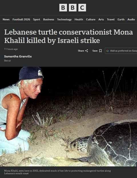 Asiablog_it's tweet photo. #LIBANO 🇱🇧

I bombardamenti isræliani 🇮🇱 hanno ucciso la nota ambientalista Mona Khalil, che ha contribuito a trasformare un tratto di costa libanese in uno dei siti di nidificazione più importanti del Mediterraneo per le tartarughe marine in via di estinzione.

Aveva 76 anni. https://t.co/ABlHMxQc7r