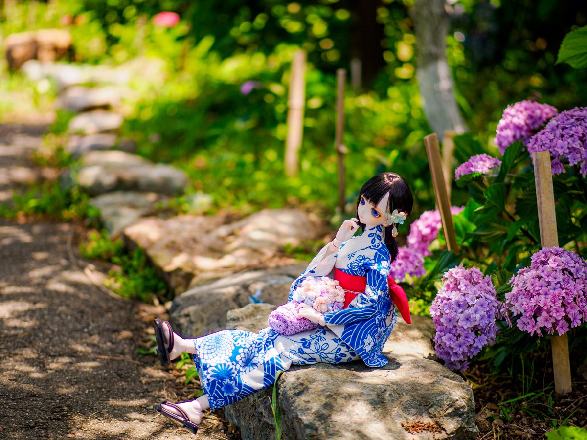 木漏れ日と紫陽花✨️ #VOYAGE服 #FORTE_ニット