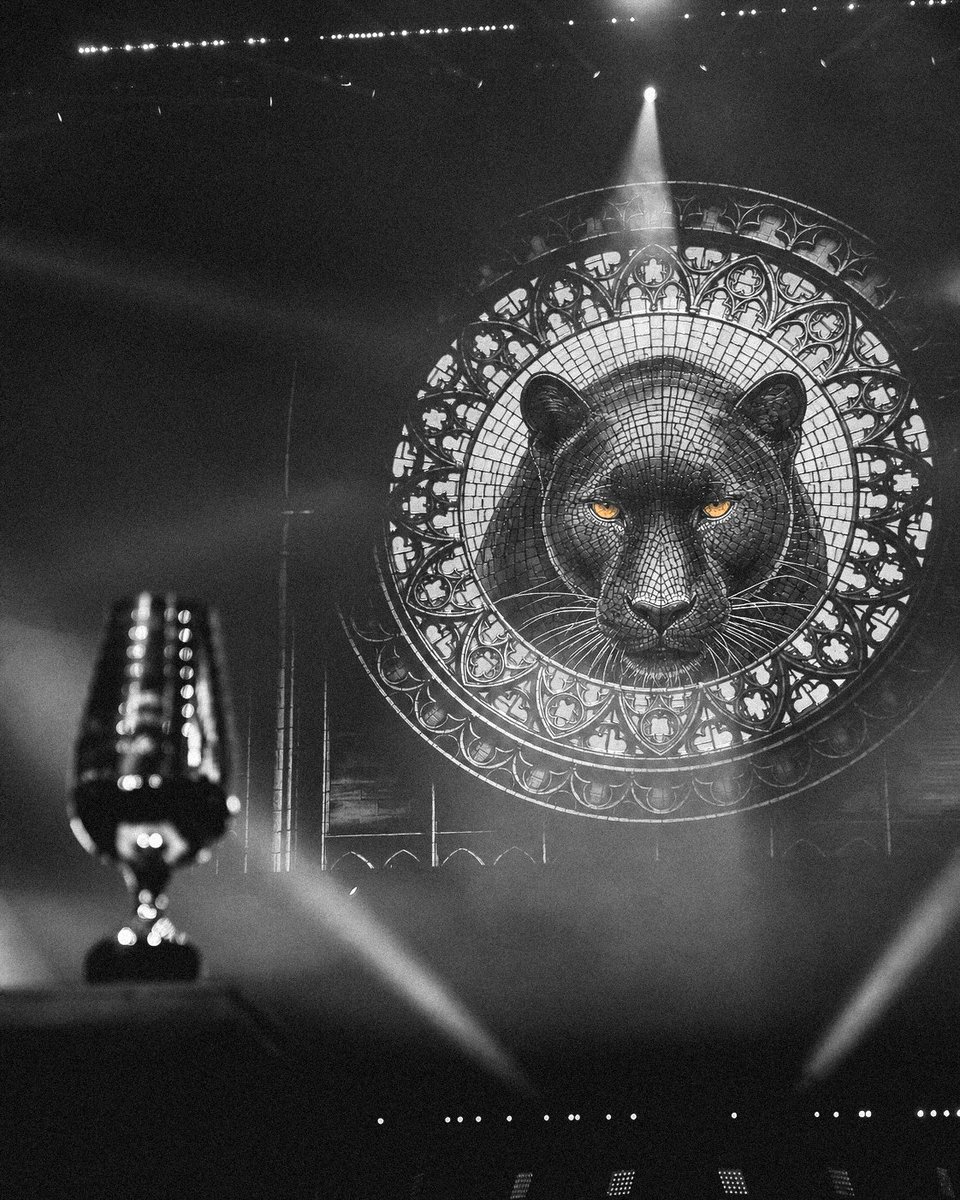 FURIA's tweet photo. A pantera já fixou o olhar na presa.

E quando o bote vier, a garra e a força brasileira não vão permitir fuga.

#DIADEFURIA #IEM https://t.co/KoJ1prfqdH