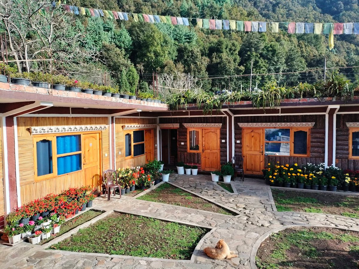 CultureDevi's tweet photo. Signature tour: Monpa villages in Arunachal Pradesh, Tibetan Buddhism as lived practice.
Arrived unwell. Expected challenge. Found community care instead, guests looking after each other, deep cultural connection, 5:30am village walks that healed.
#ArunachalPradesh @ArunachalTsm https://t.co/1FgIQIfTen